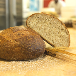 WHOLE WHEAT PAGNOTTA