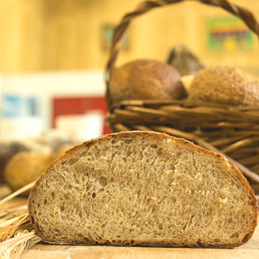 WHOLE WHEAT PAGNOTTA